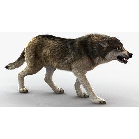 Wolf 3 RIG FUR model